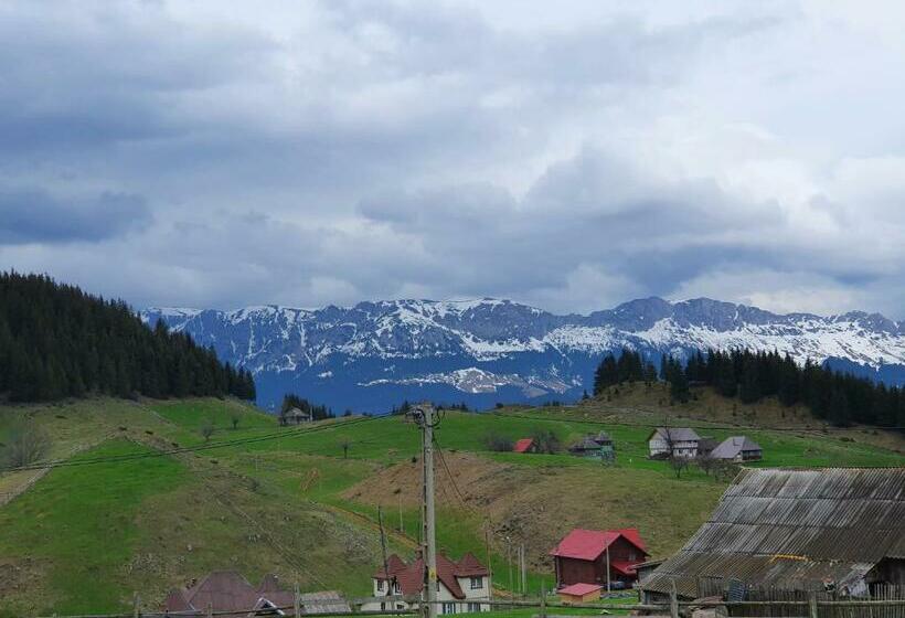 膳宿费 Raiul Carpatin