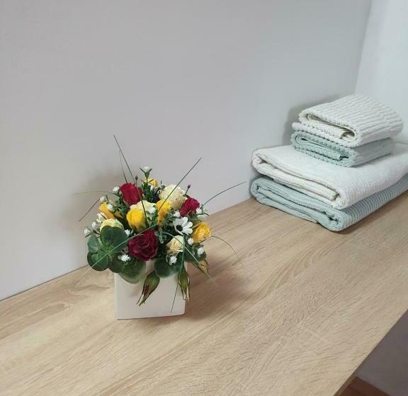 膳宿费 Raiul Carpatin