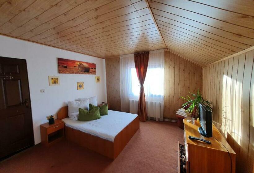 膳宿费 Raiul Carpatin