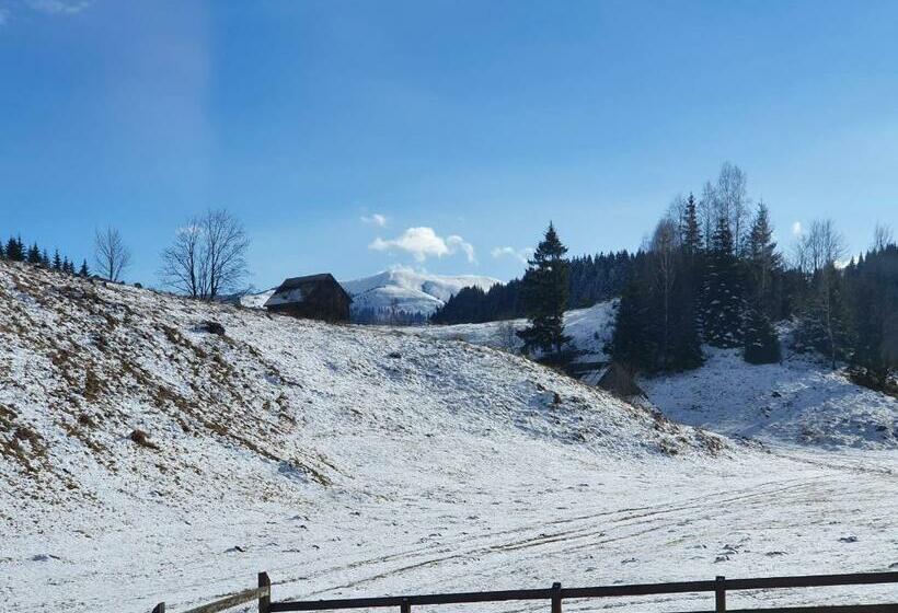 膳宿费 Raiul Carpatin