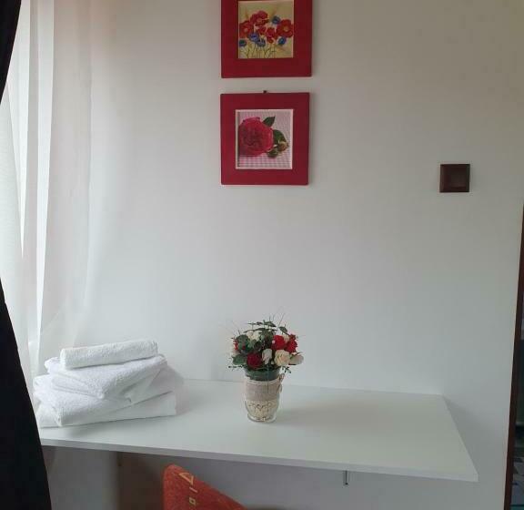 膳宿费 Raiul Carpatin