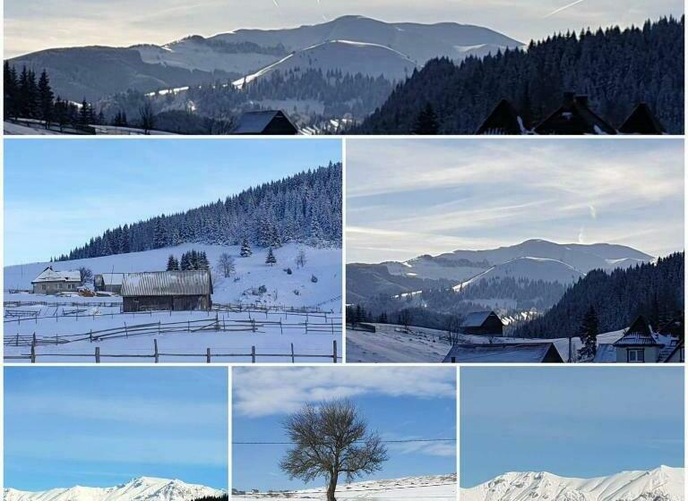 膳宿费 Raiul Carpatin