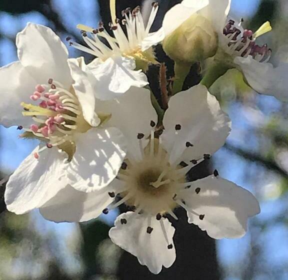 مبيت وإفطار Robinson Retreat