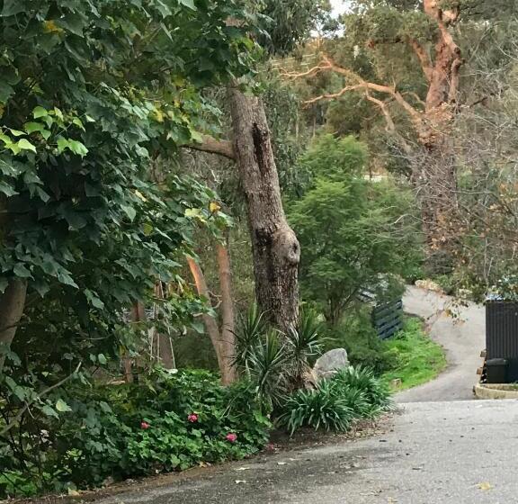 مبيت وإفطار Robinson Retreat