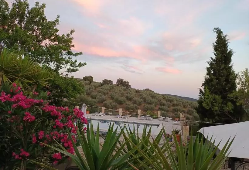 Hacienda La Buena Vida B&b En Appartementen