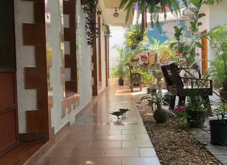 Hotelli Boutique El Sueño Del Coronel