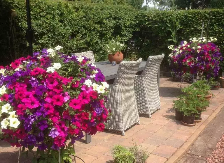 ベッドアンドブレックファースト T’ Hogeland Ainrom