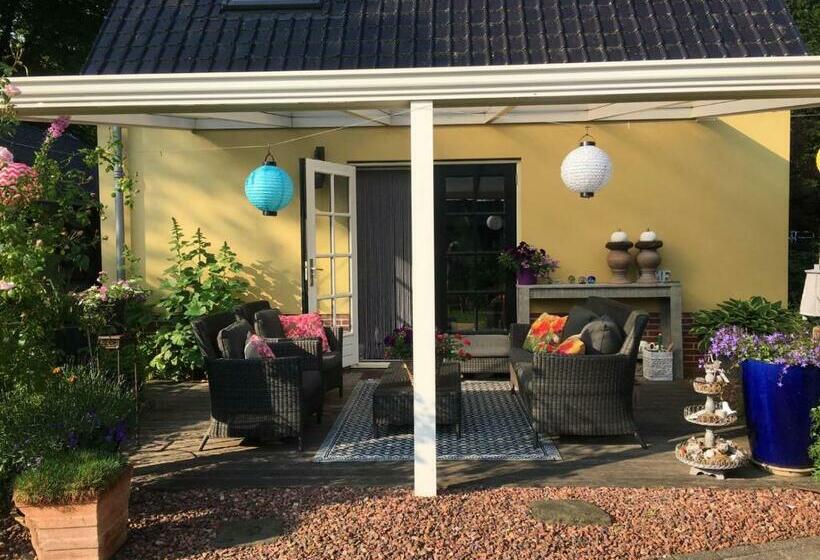 ベッドアンドブレックファースト T’ Hogeland Ainrom