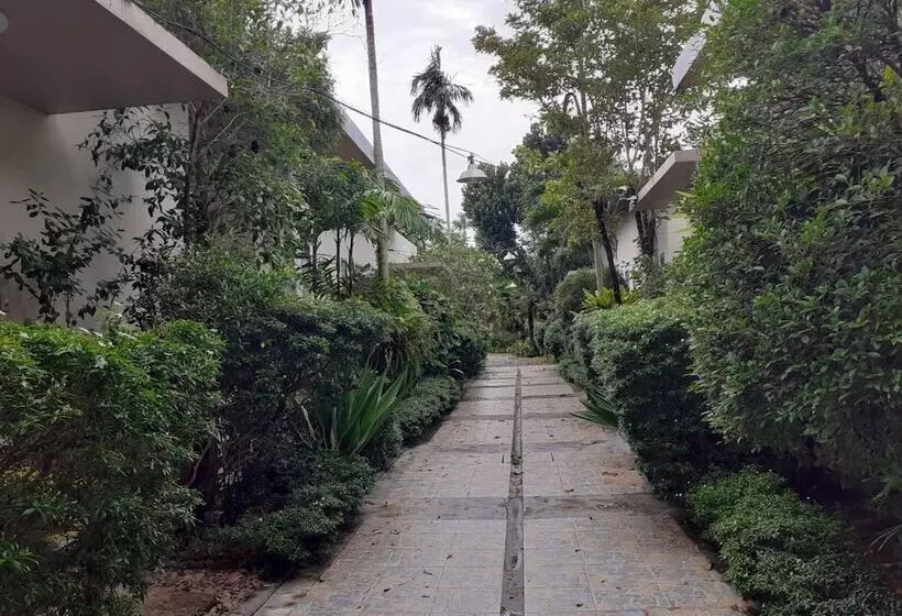 Hotelli Areeca Mahogany Zone