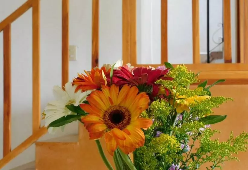 Hotelli Maria Bonita By Rotamundos