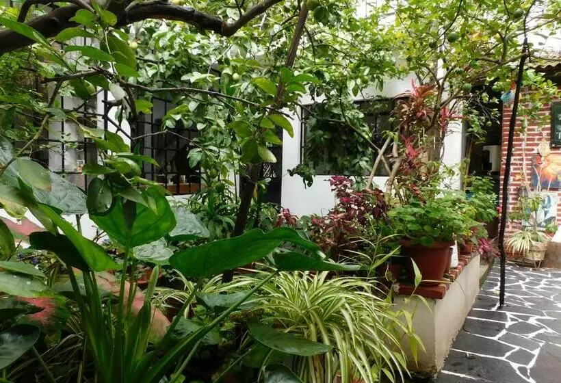 Hotelli Maria Bonita By Rotamundos