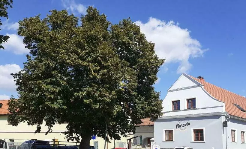 پانسیون Penzion Pivovarská Restaurace Moravia