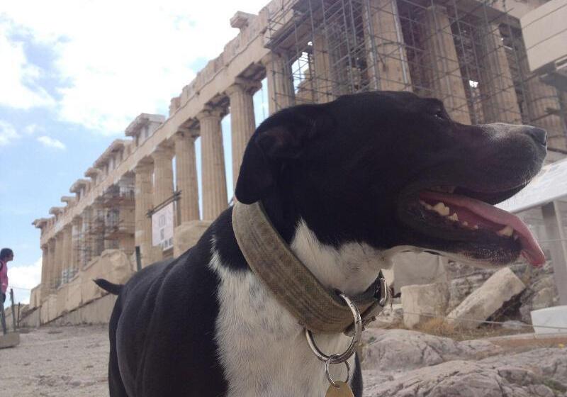 簡易ホテル Athens Backpackers