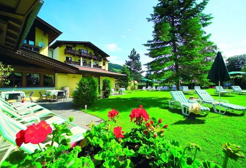 ホテル Alpenresidenz Adler