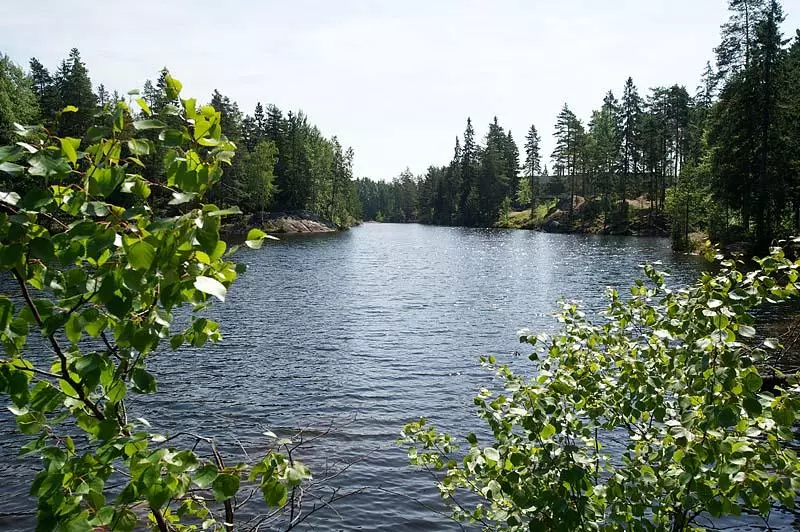 בית מלון כפרי Korpilampi