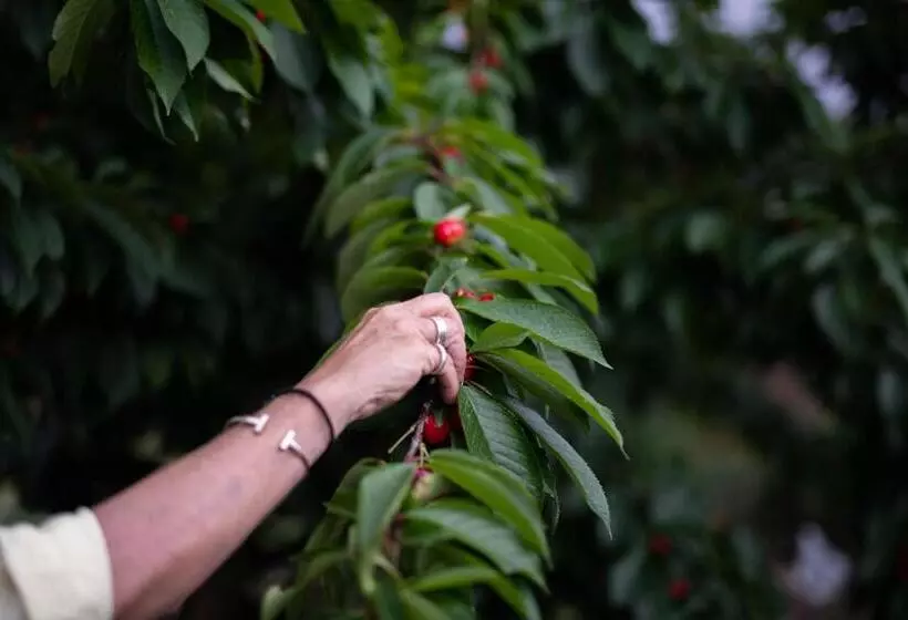 Petra & Fos Boutique Hotel & Spa