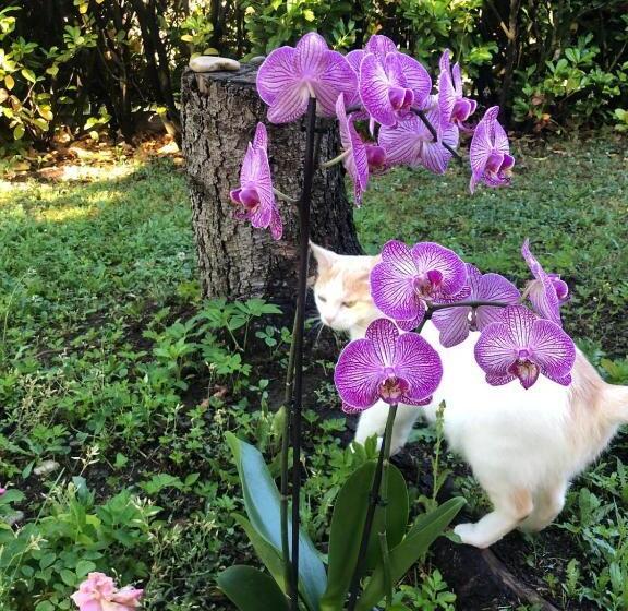 Al Chiar Di Luna B&b Valtellina