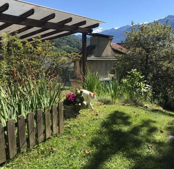 Al Chiar Di Luna B&b Valtellina