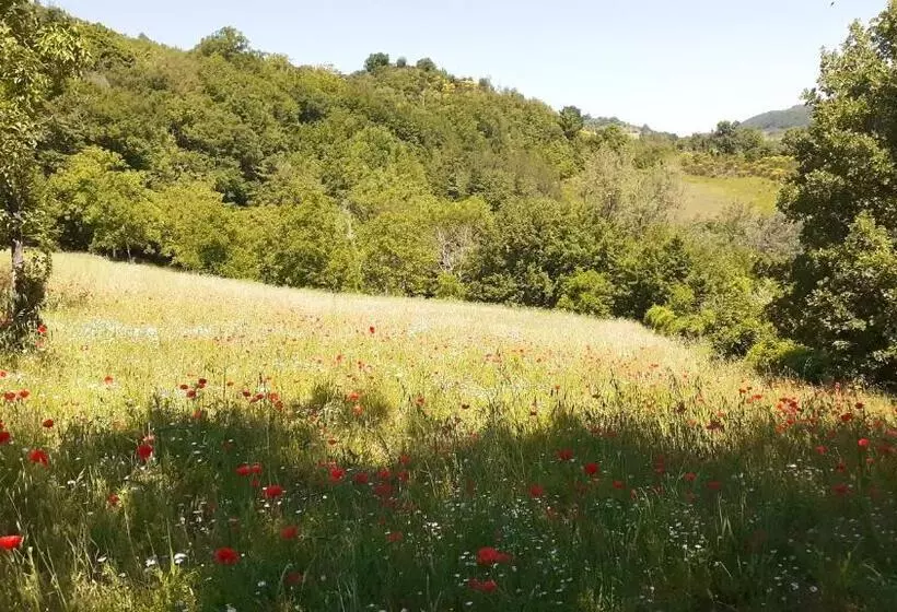 ホテル Agriturismo Marcofrate, A Retreat In The Nature