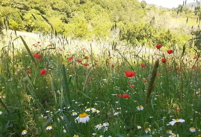 ホテル Agriturismo Marcofrate, A Retreat In The Nature