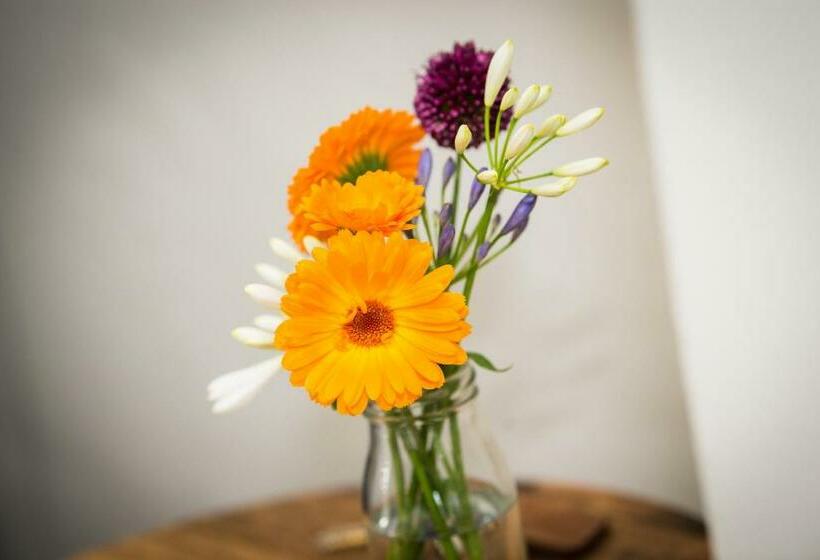 ホテル Alpaca Fold