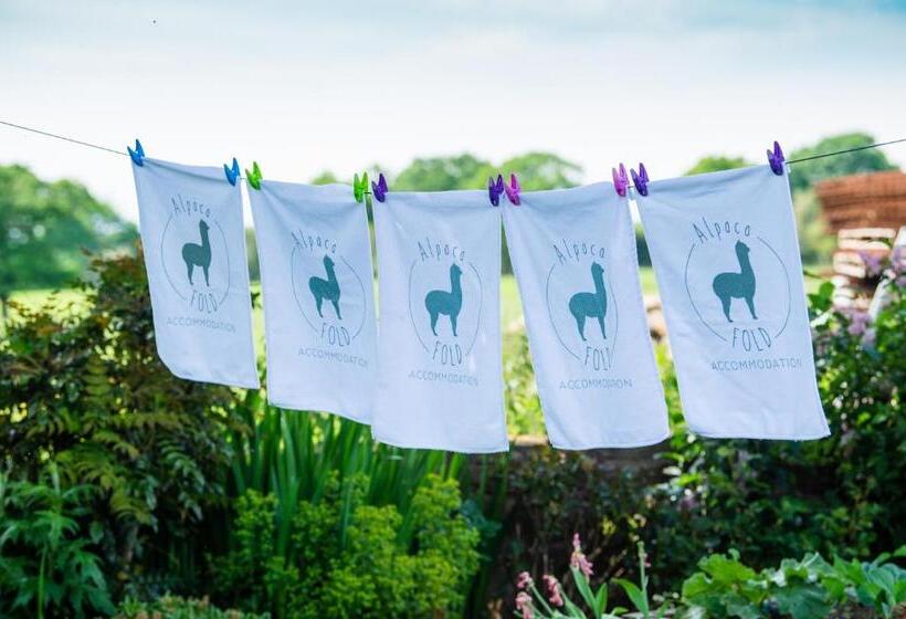 ホテル Alpaca Fold