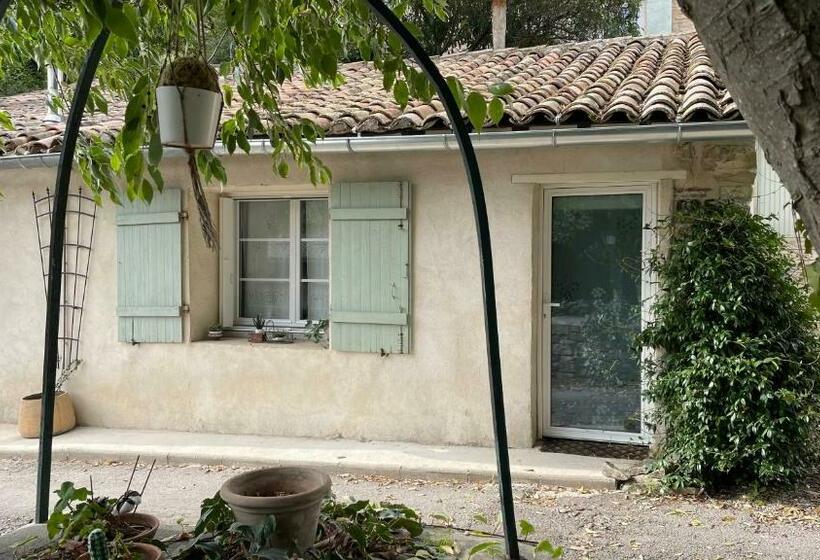 بنسيون Joli Mazet à Nîmes Idéalement Situé Entre La Garrigue Et La Ville