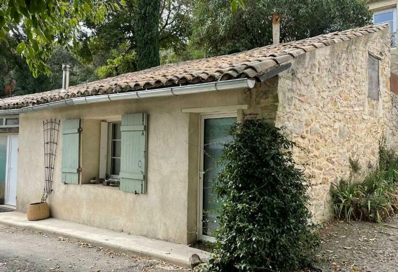 بنسيون Joli Mazet à Nîmes Idéalement Situé Entre La Garrigue Et La Ville