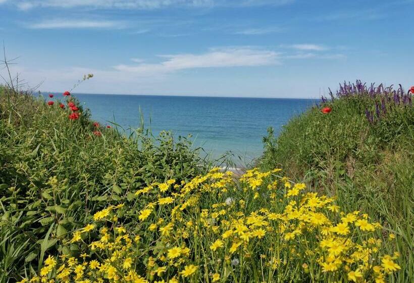 ユースホステル House Albena