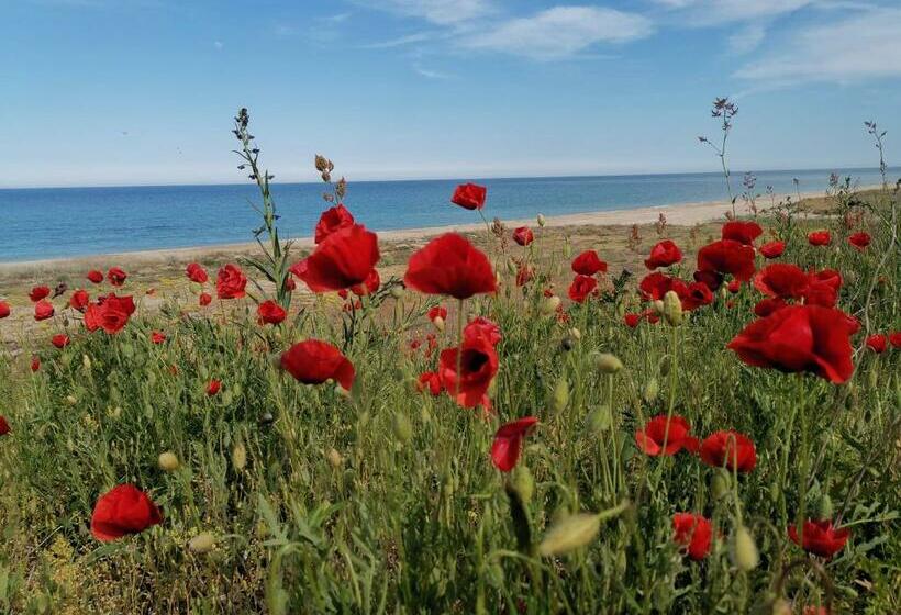 ユースホステル House Albena