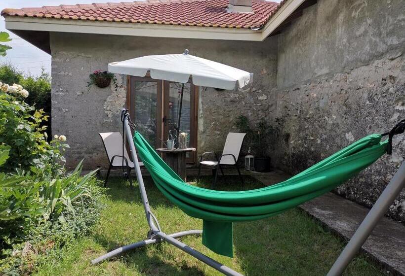 ユースホステル House Albena