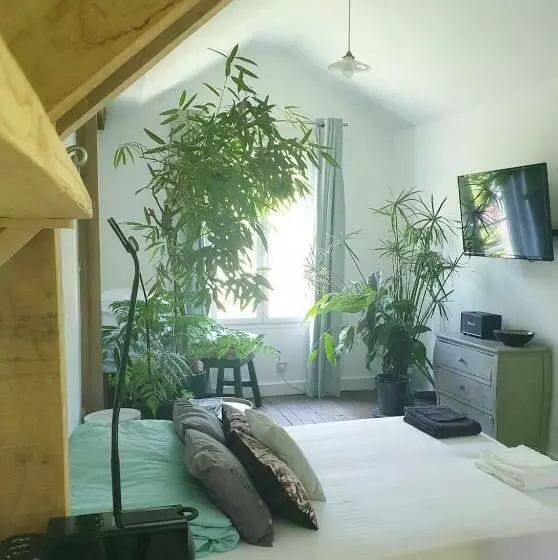 ベッドアンドブレックファースト La Petite Maison Du Jardin D Apollon