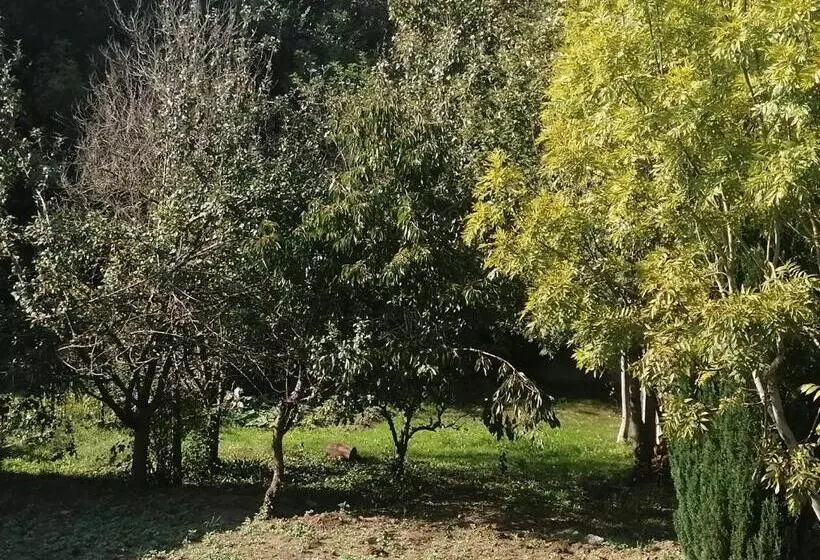 Aamiaismajoitus (B&B) Le Hameau Du Petit Carpont   Baie De Saint Brieuc Entre Paimpol Et Erquy   Petit Déjeuner Breton Fai
