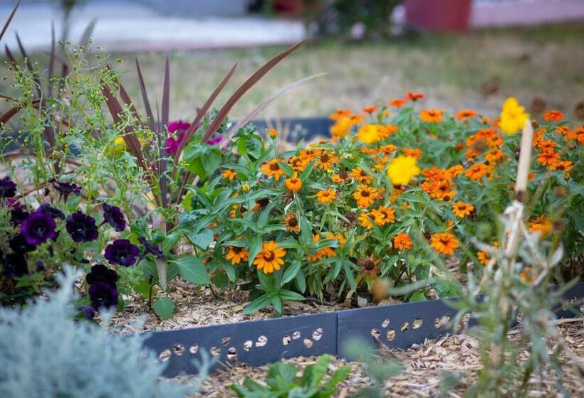 Majatalo Chambre D Hôtes Des Pins