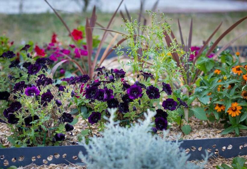 Majatalo Chambre D Hôtes Des Pins