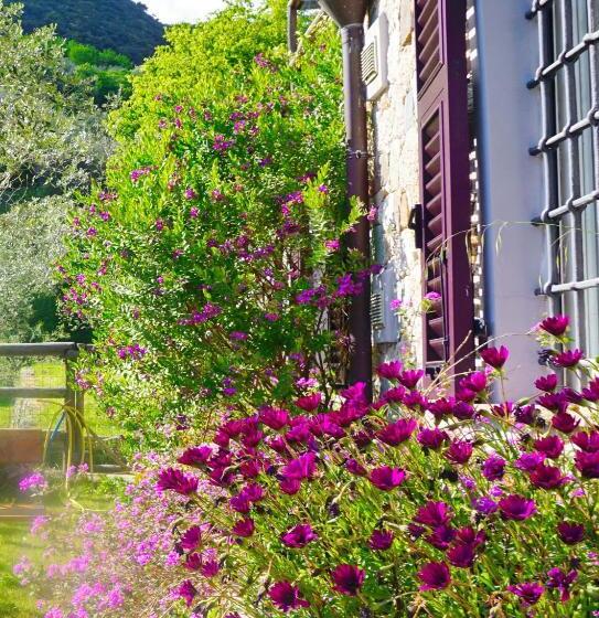 Nocleg ze śniadaniem L Allegra Brigata