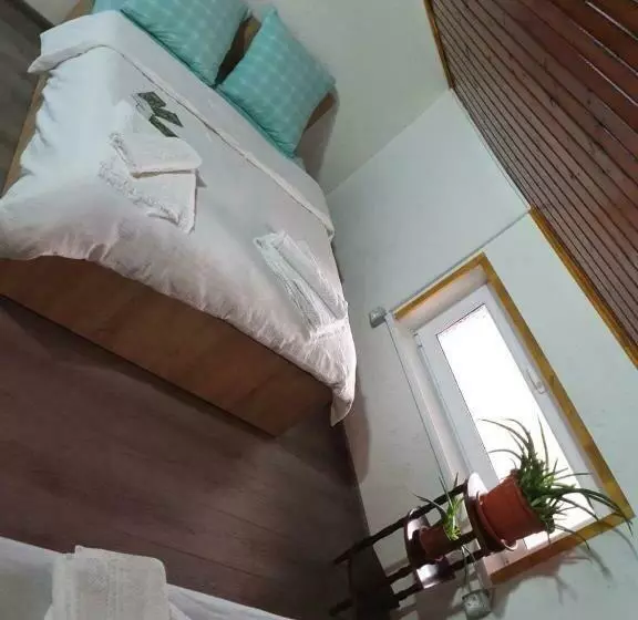پانسیون Casa Radu