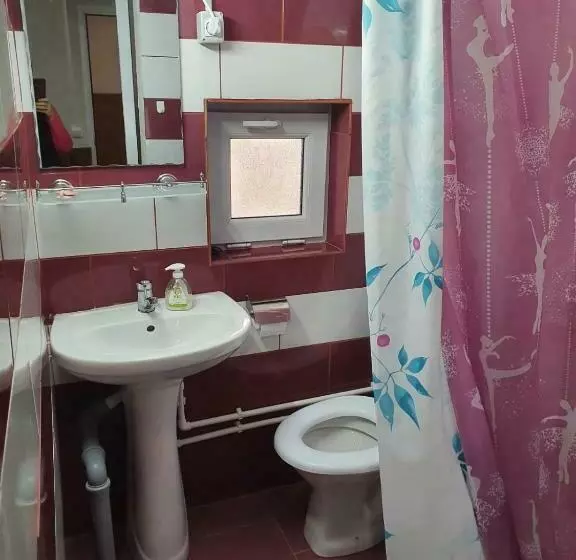 پانسیون Casa Radu