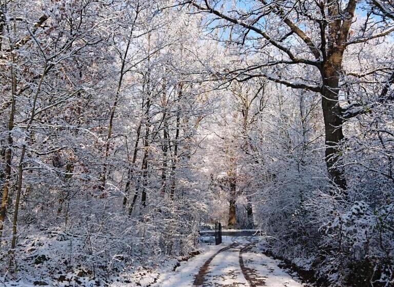 Nocleg ze śniadaniem Due Principi E Una Fata
