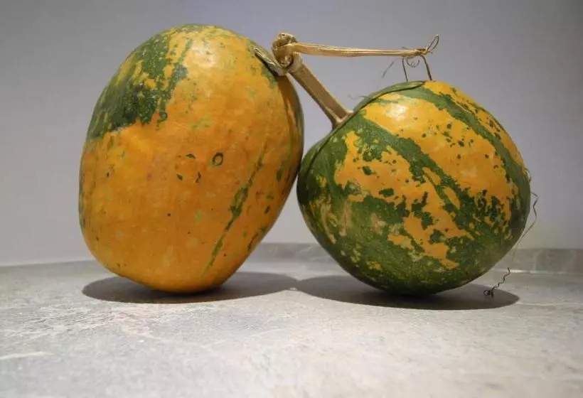 ベッドアンドブレックファースト Il Rosale A Celle Ligure