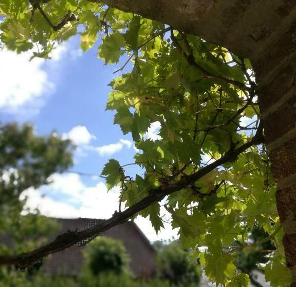 هتل Villa Carlotta Sea Resort