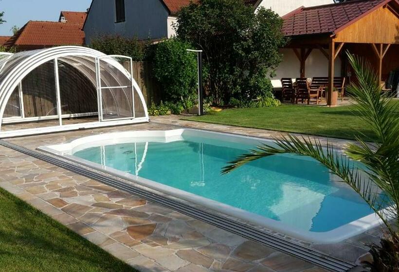 膳宿费 Gästehaus Familie Trachsler