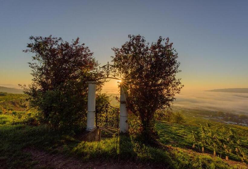 膳宿费 Gästehaus Familie Trachsler