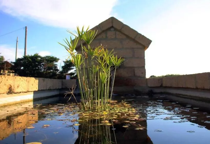 Aamiaismajoitus (B&B) A Casa Di Amici