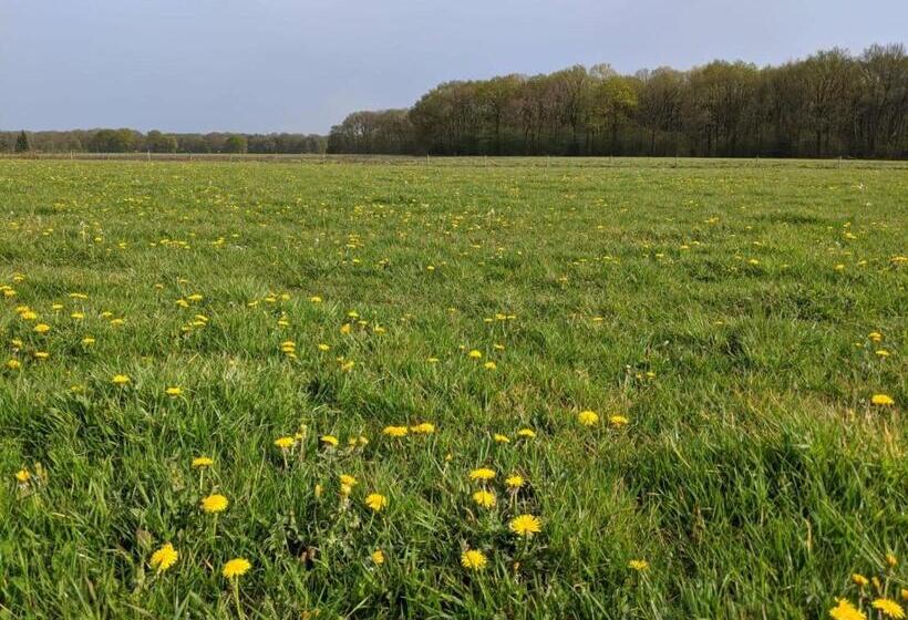 צימר Bed Op De Reth