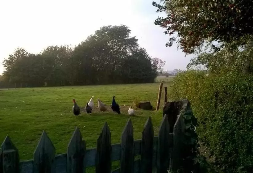 Aamiaismajoitus (B&B) Bed Op De Reth