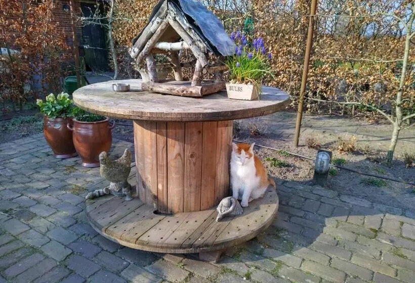 Aamiaismajoitus (B&B) Bed Op De Reth