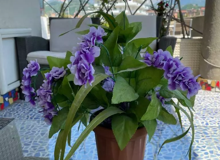 تختخواب و صبحانه Costa Sud Salerno