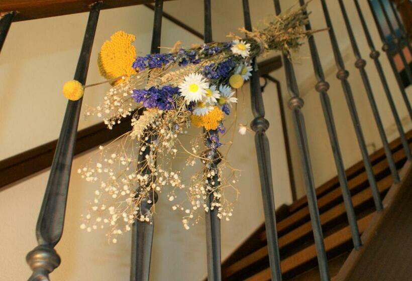 Bed and Breakfast De Buitenhof