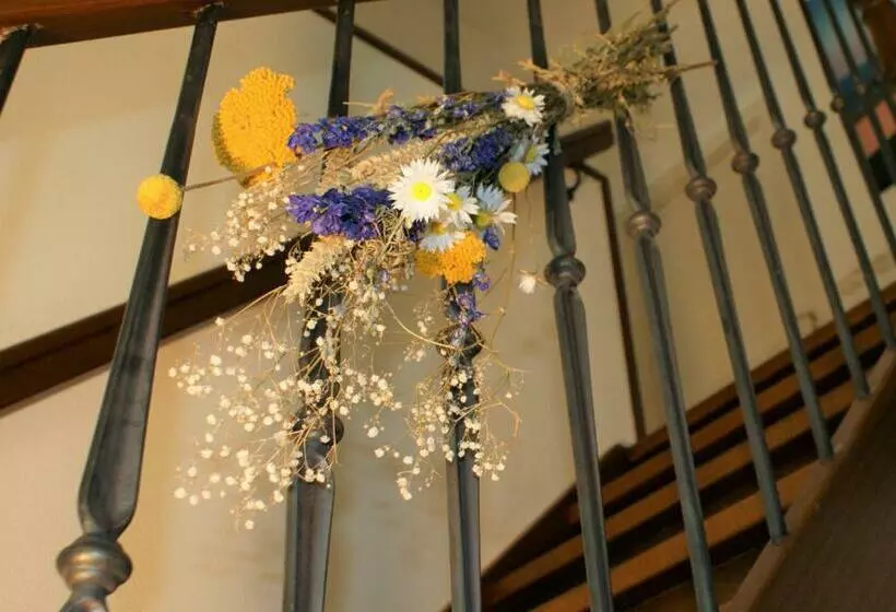 Aamiaismajoitus (B&B) De Buitenhof